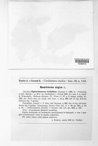 Image Associated With the Occurence